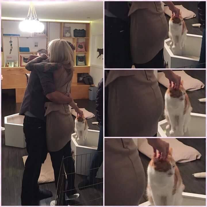 When BAE welcomes you home, but you're happier to see the cat.