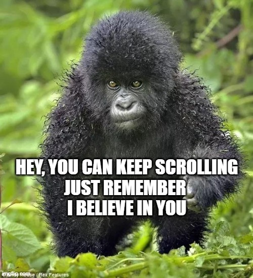 wholesome return to monke