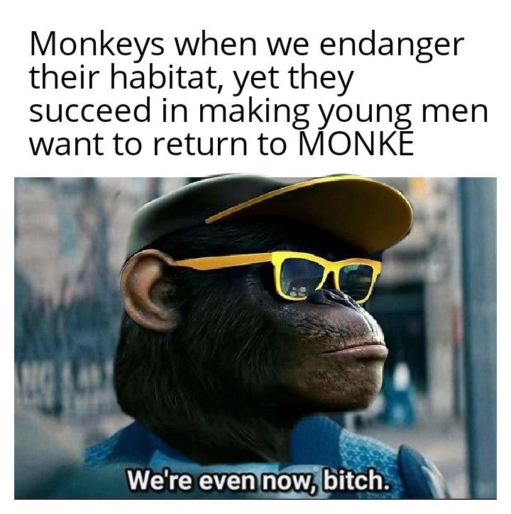 Look how the turntables........