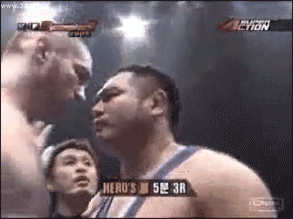 Gay kiss knockout