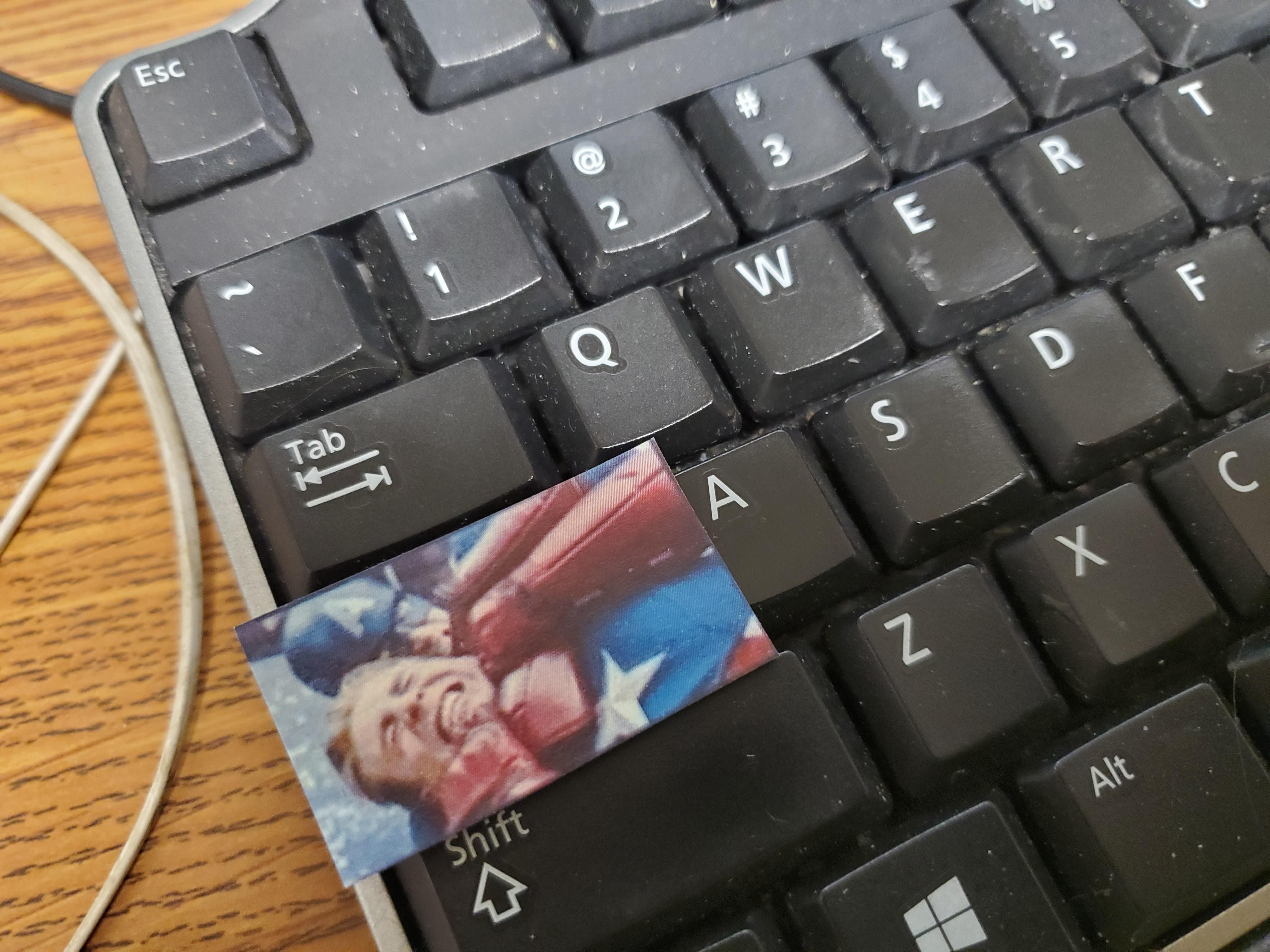 Found on my keyboard this morning.