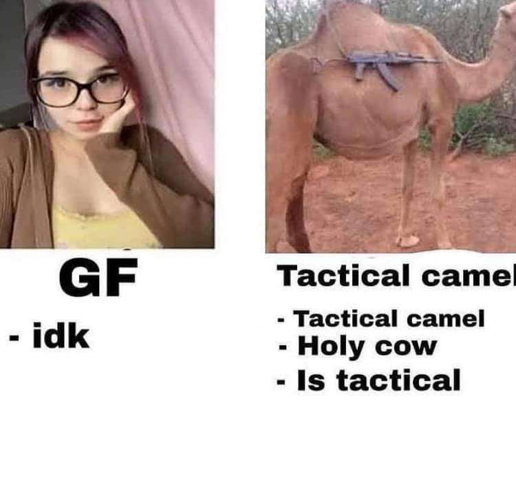 /k/amel