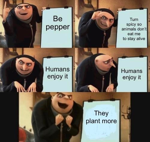 Spicy berries