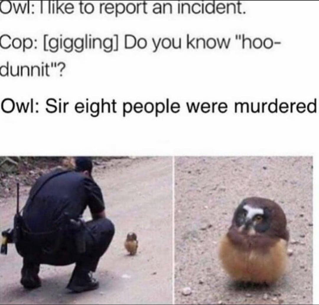 8 peopwle muwdewwd aww