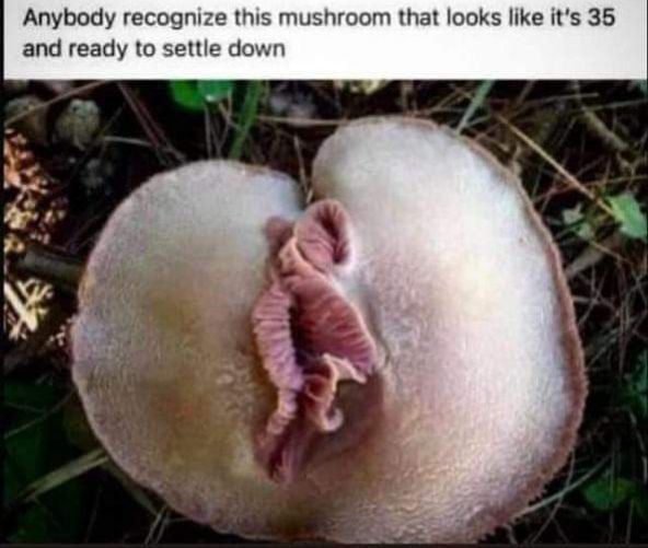 some of you boys would