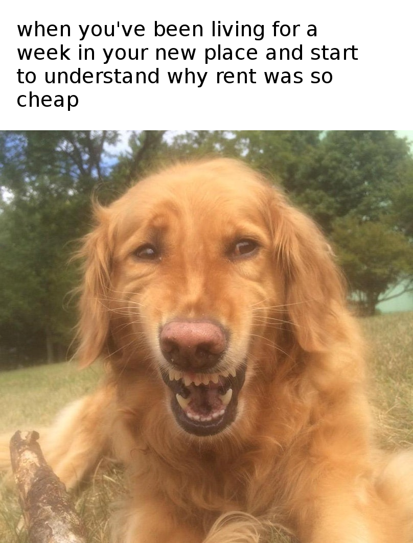 im saving thousands by moving back to the hood brehs