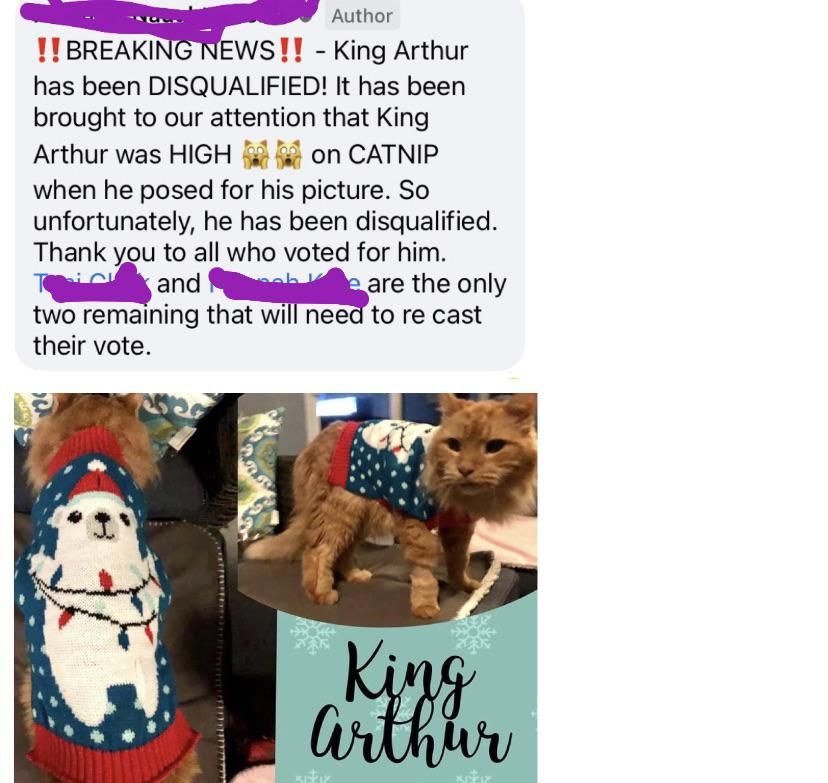 My local animal shelter disqualified one of its cats from an ugly sweater contest because he was high on catnip when he posed for the pictures. It’s my favorite scandal of 2020.