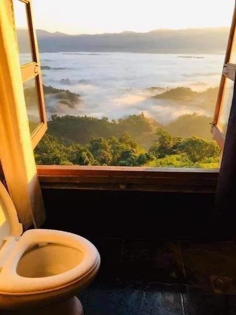 Room with a view