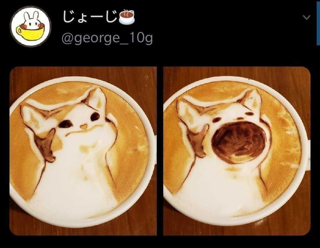 kot