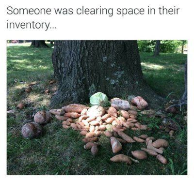why not just alchemy all the lettuce and pumpkins?