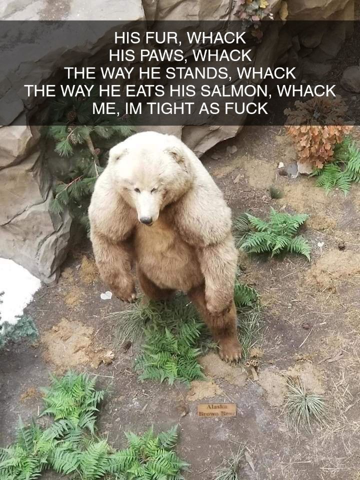 bear mode