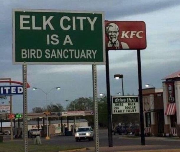 bird is the word