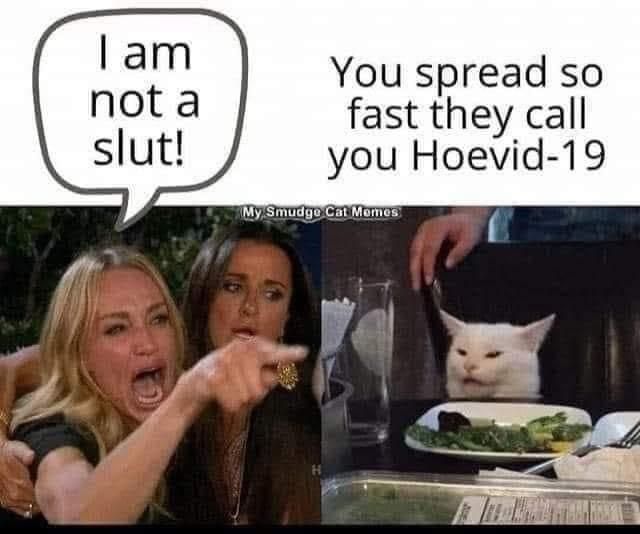 Sluts everywhere