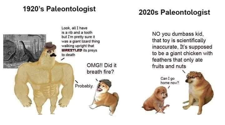 Dinosaur