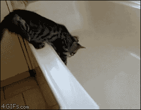 Get me out of here!