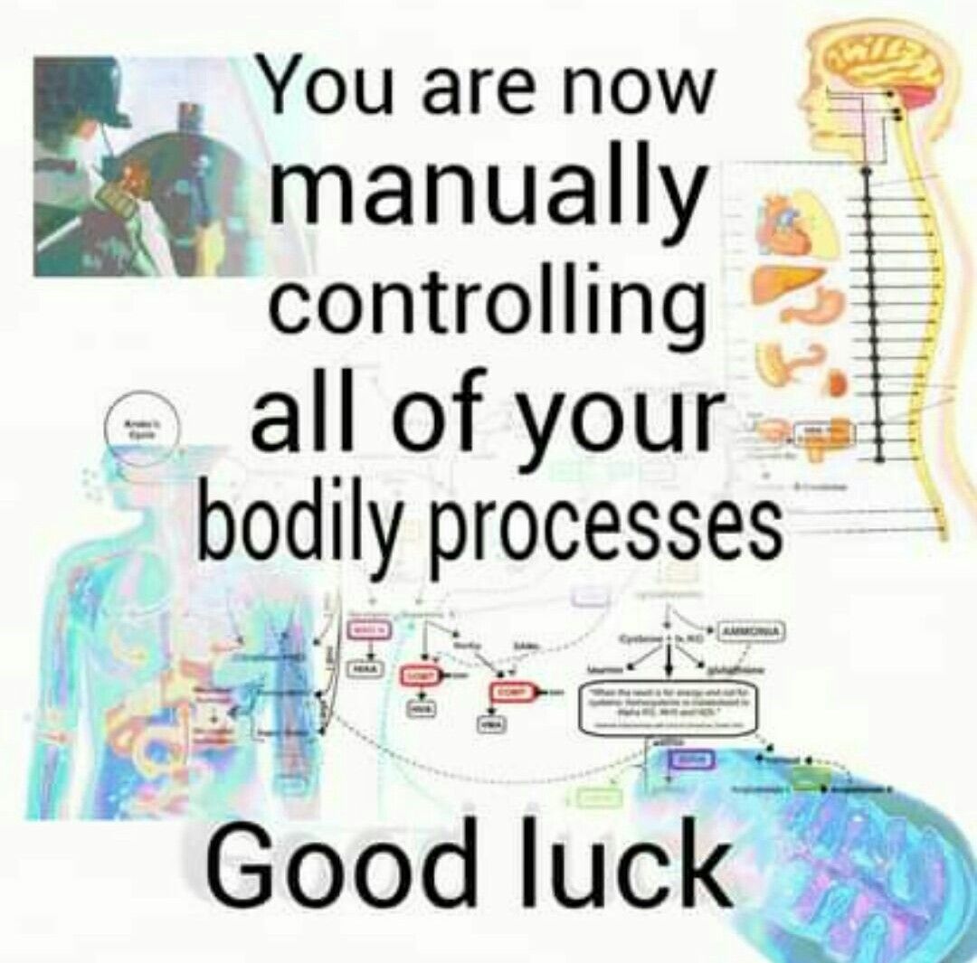 have fun