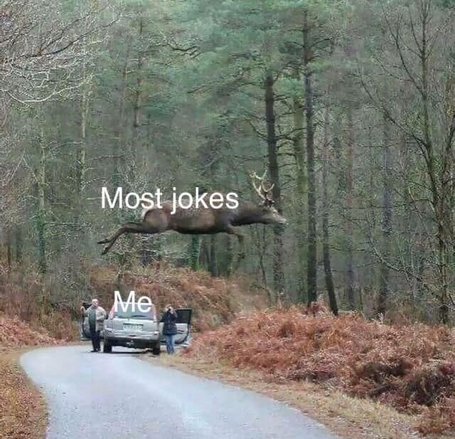 I dungeddit