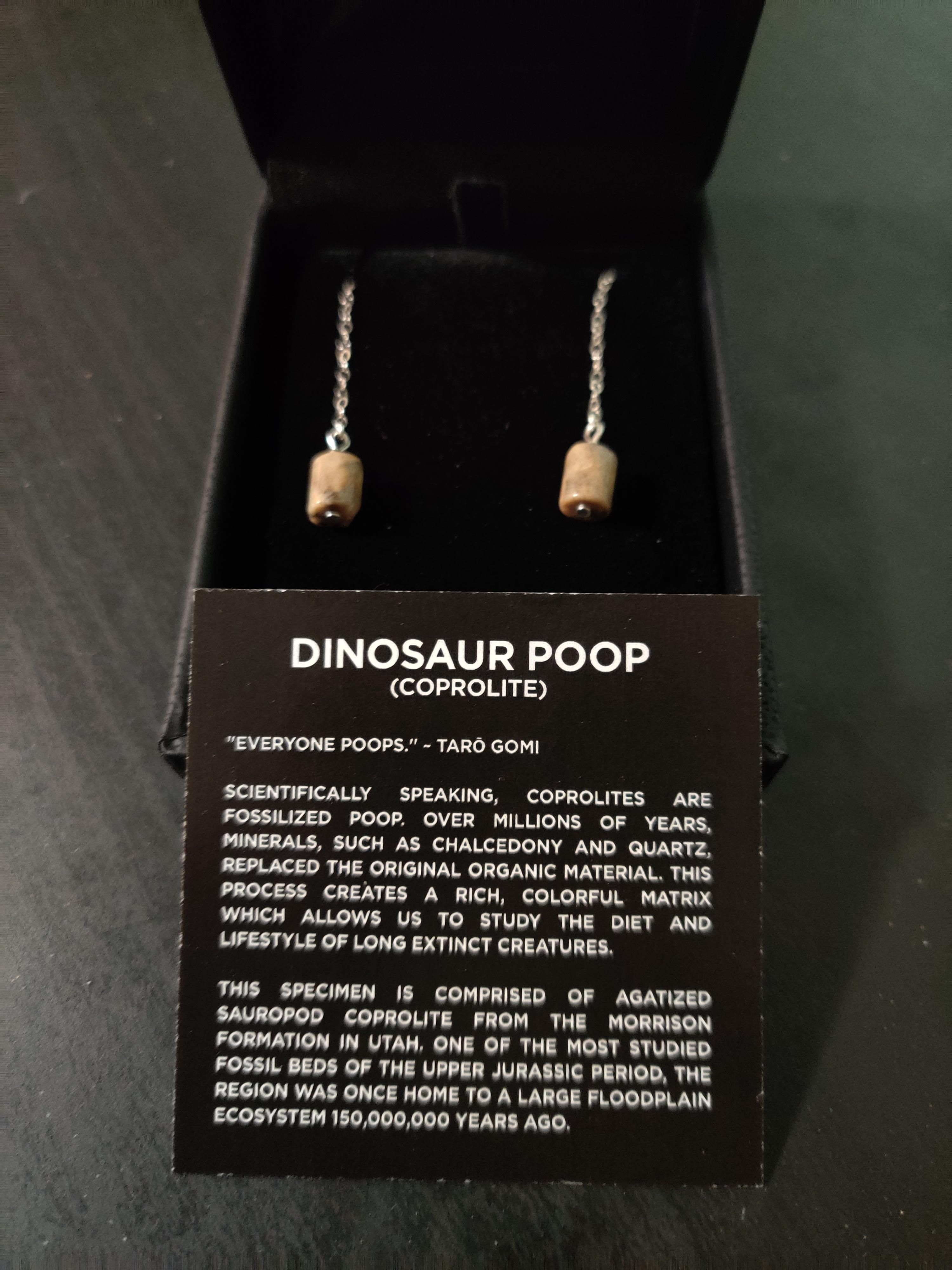 I told my husband I just wanted some "shitty earrings" for Christmas. He delivered...