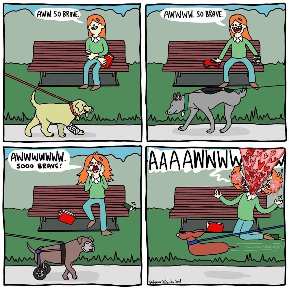 stop