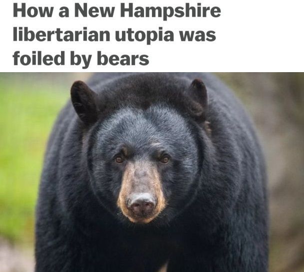 Perfect titles don't exis-