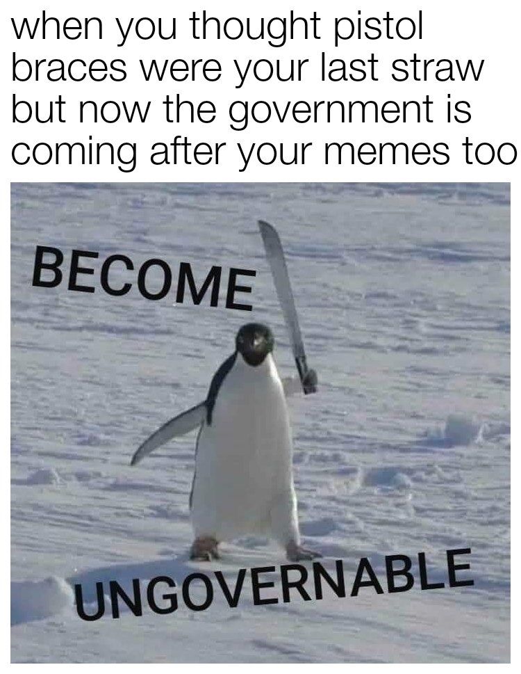 penguins are brehs