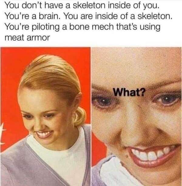 mine is an armor of fat