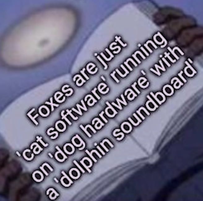 fact