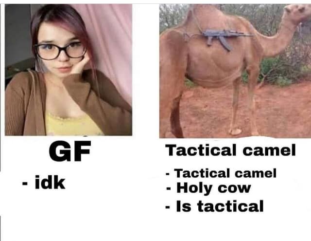 might be a tactical repost