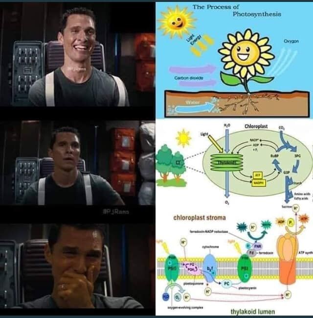 take me back to the simpler times