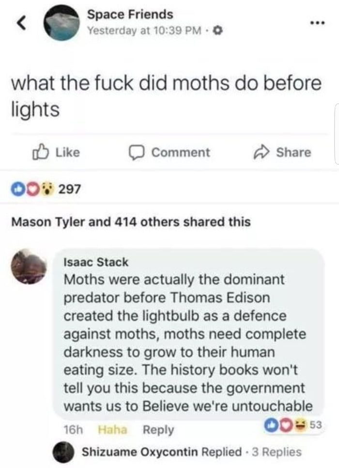 moths