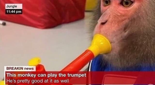 Finally, some good fkin news
