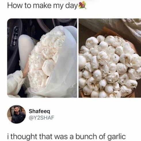 looks more like a popcorn to me