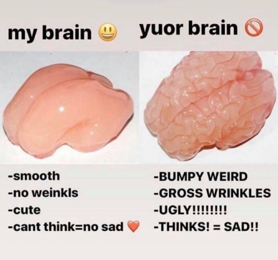 Brain