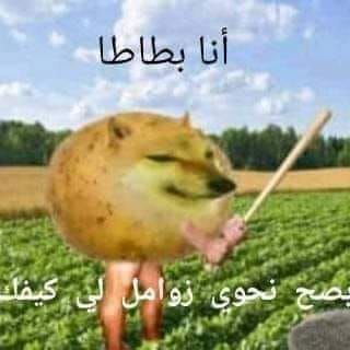Jajaja