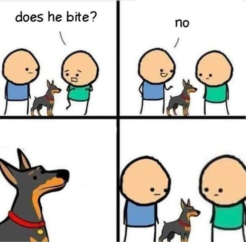 good dog