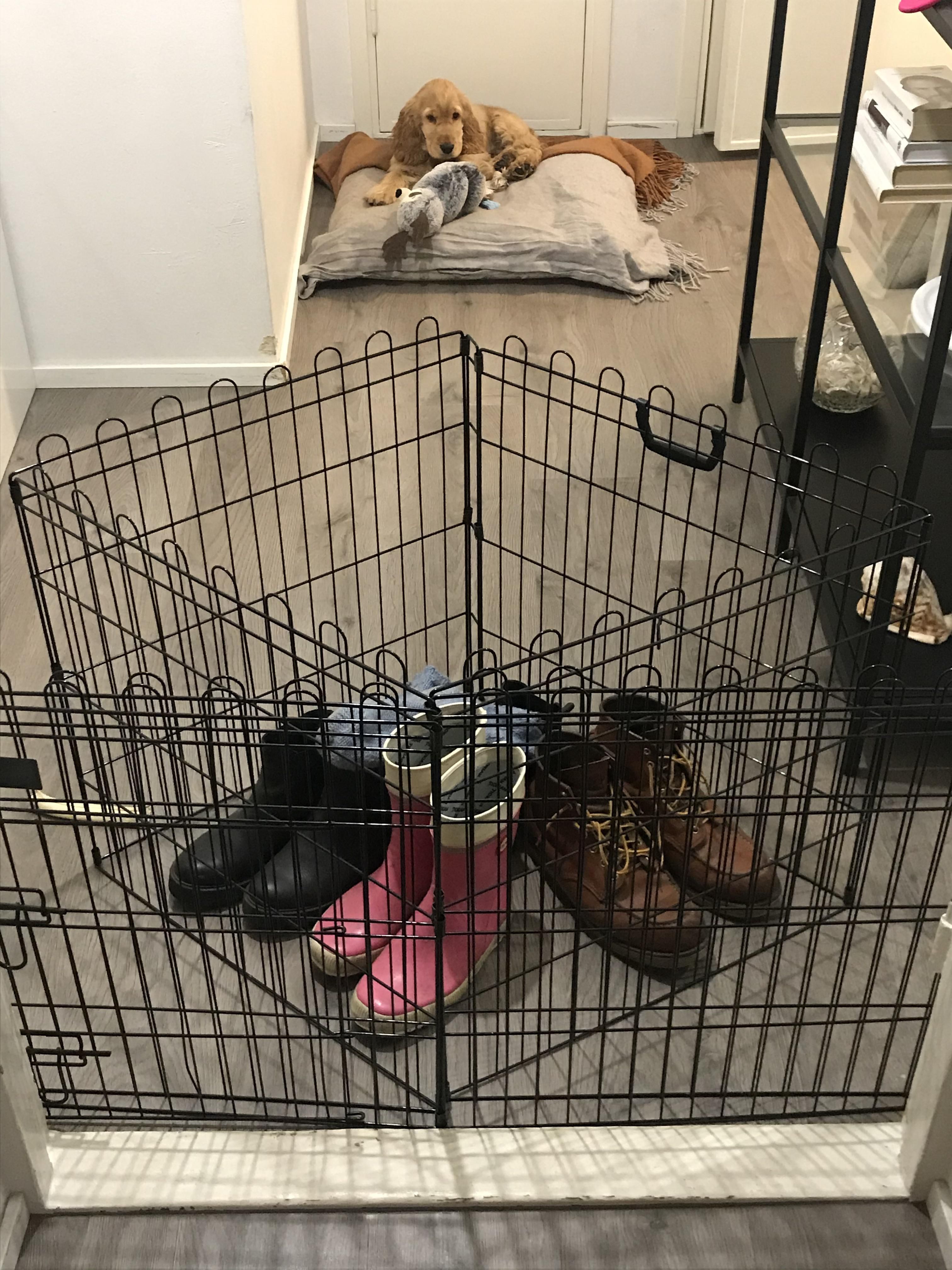How the dog cage ended up being used.