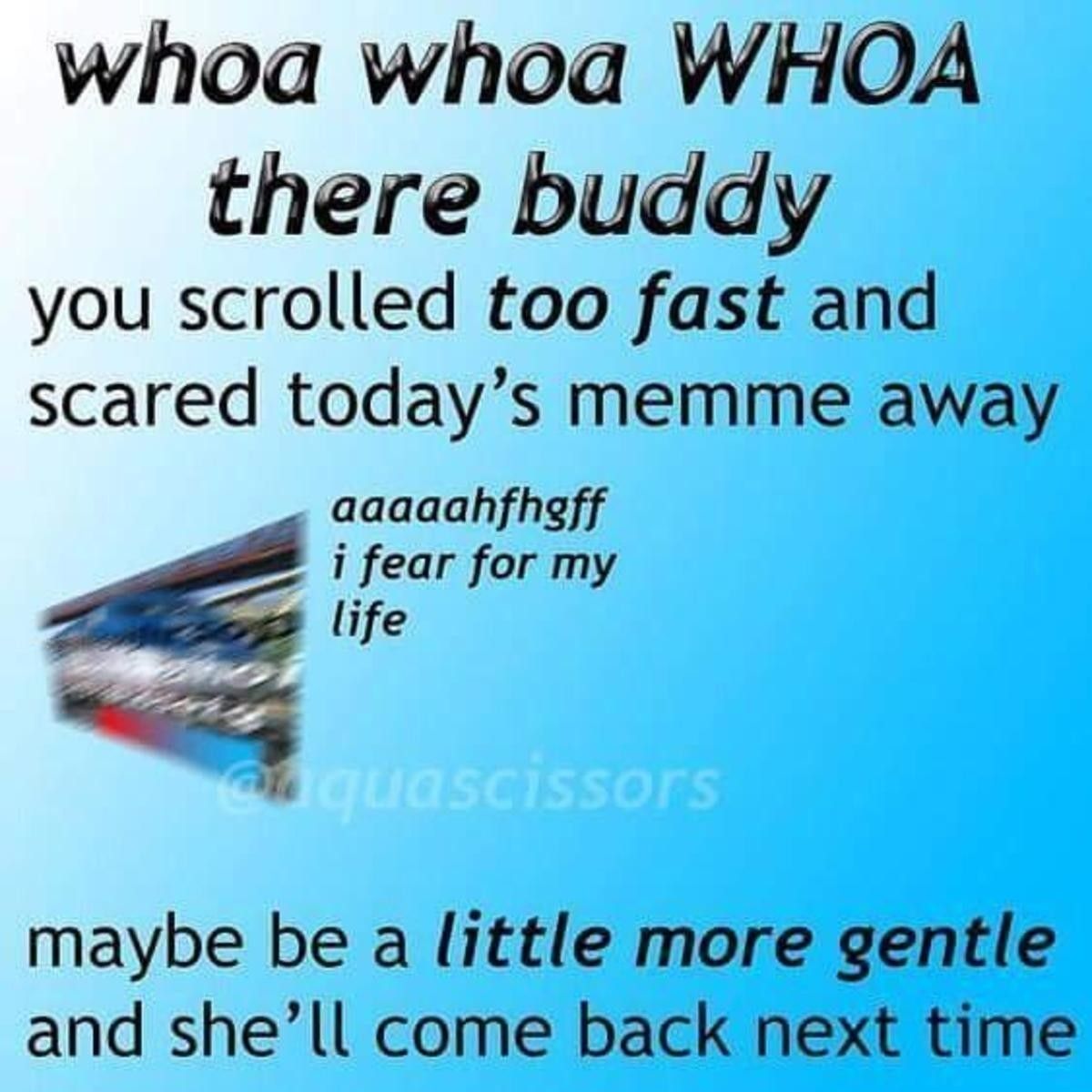 You've scared it, now say you're sorry