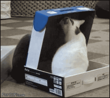 Get in here!