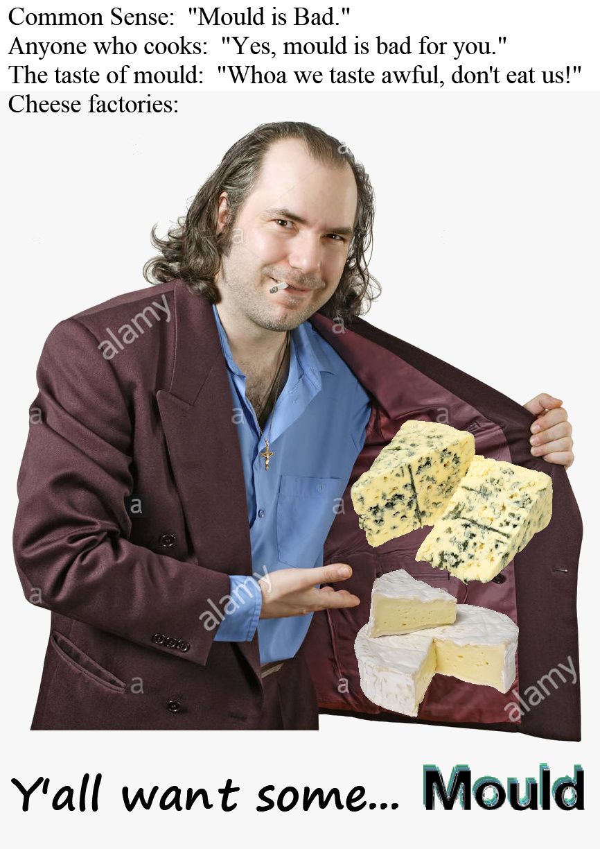 mmm brie