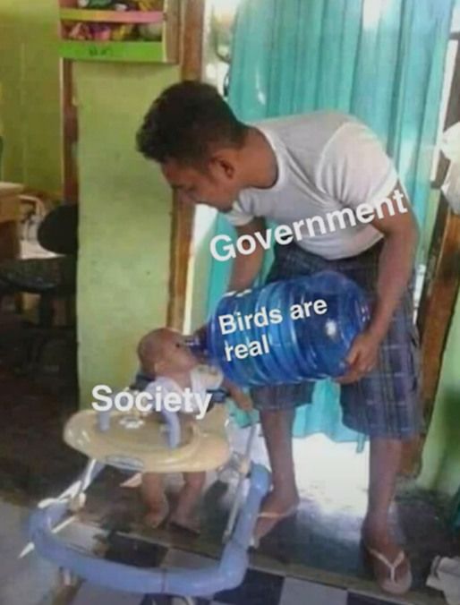 borb