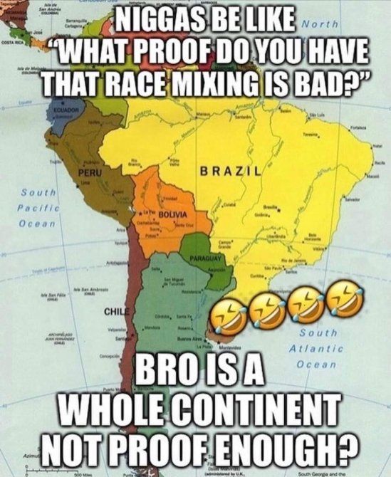 “Say the line Bart!”.....”Brazil”