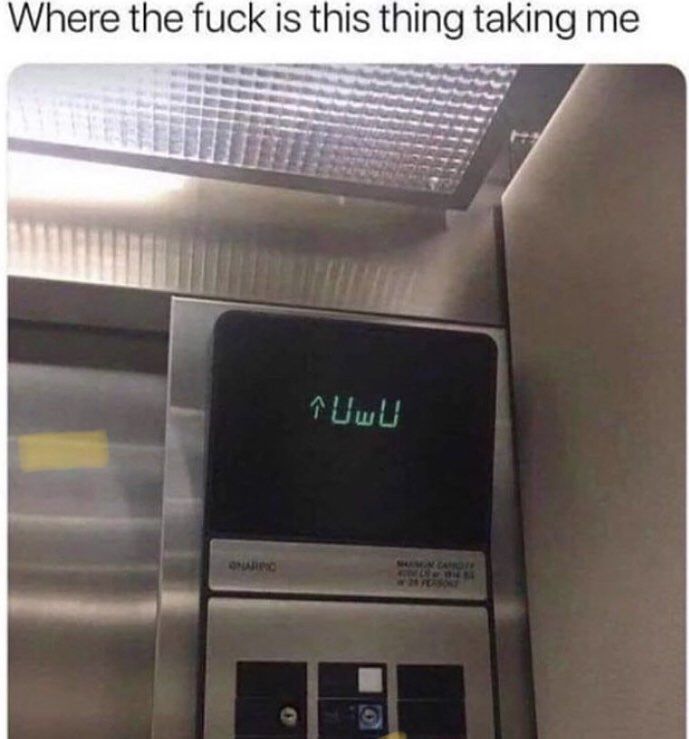 to heauwuen