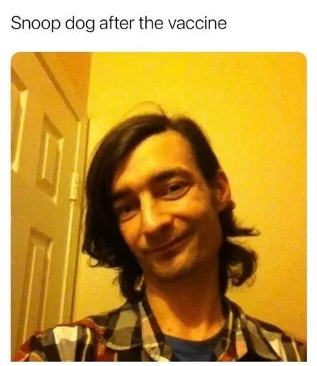 Doge