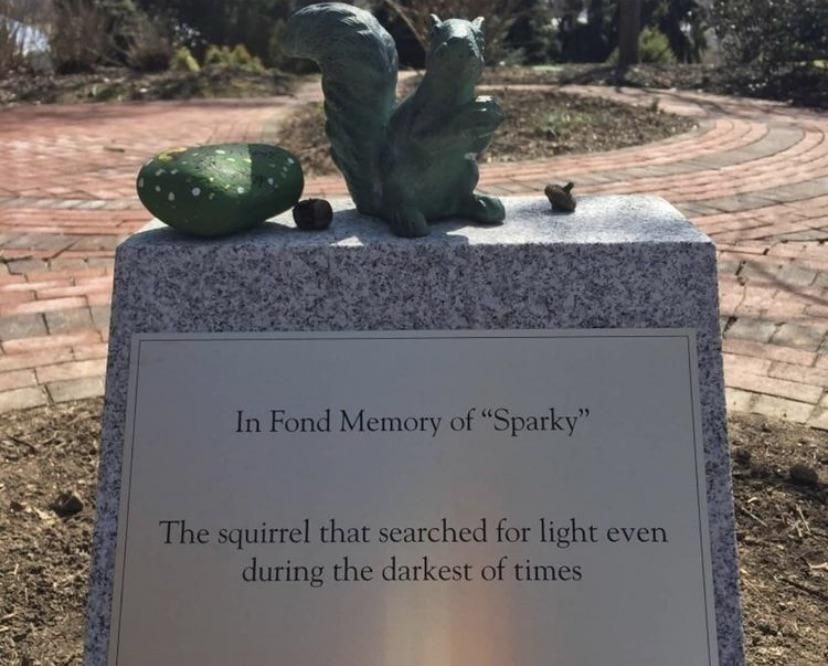 University students made a monument in memory of a squirrel who canceled a two-day class by gnawing the front lines.