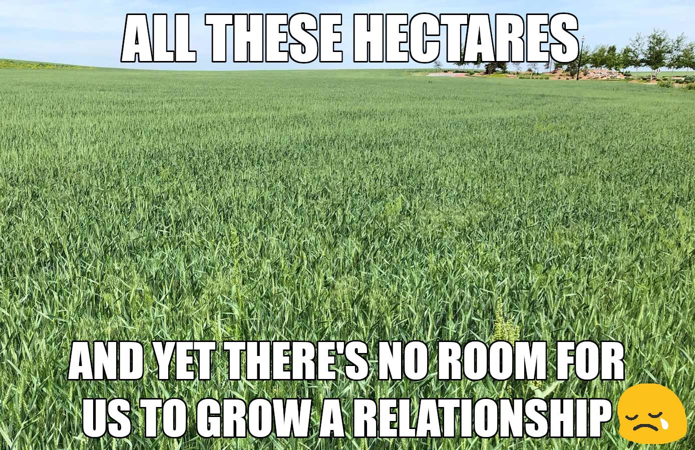no one knows what it's like.. to be the sad farmer