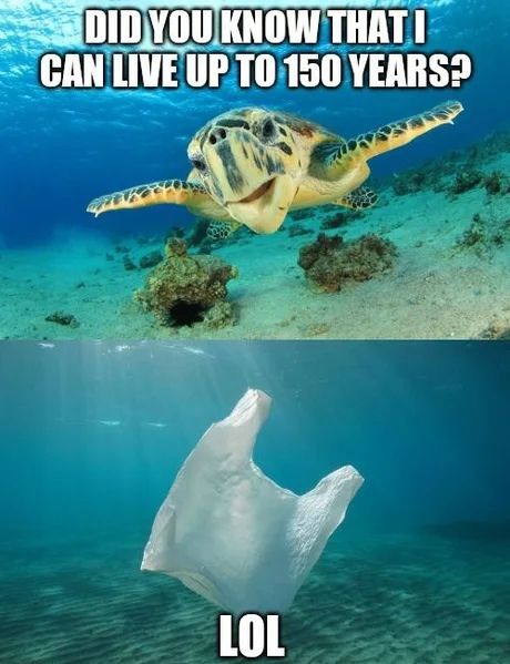 Lol
