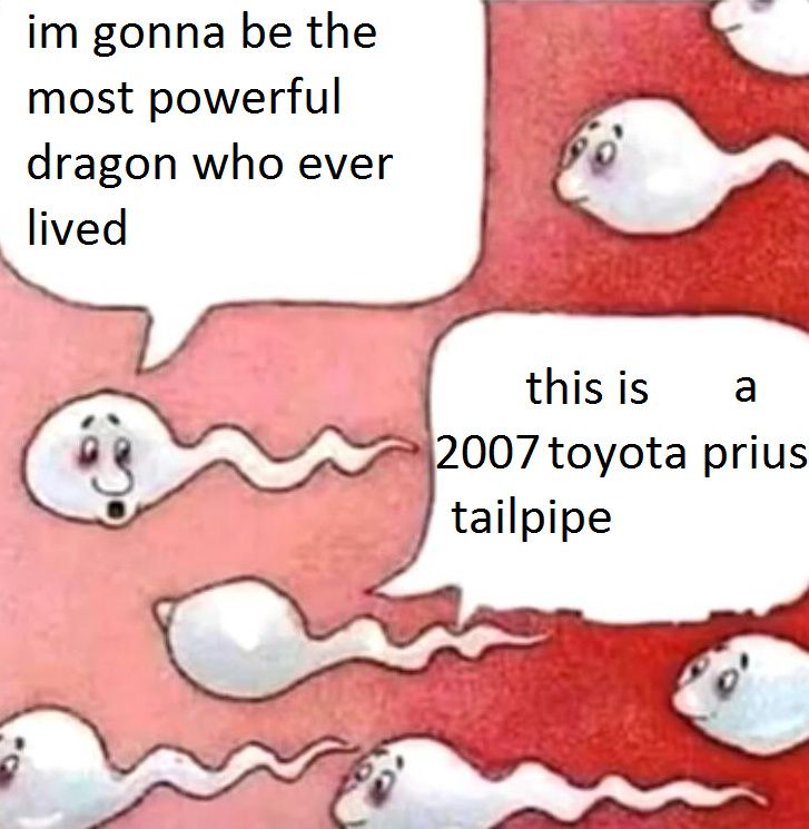 dragons