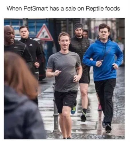 *happy reptile noises*