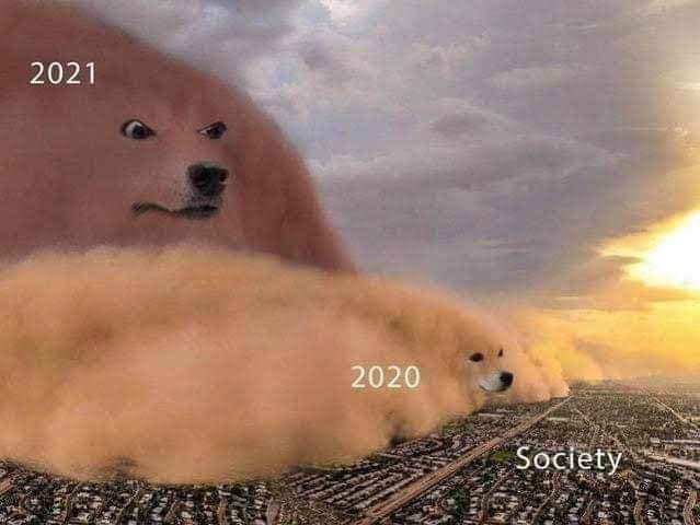 doog
