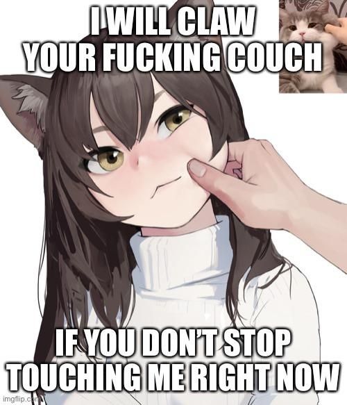nyaa